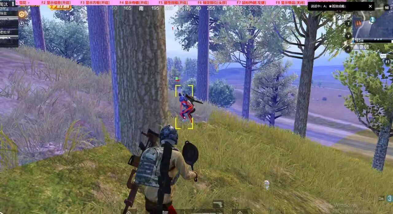 和平精英《向日葵》外挂